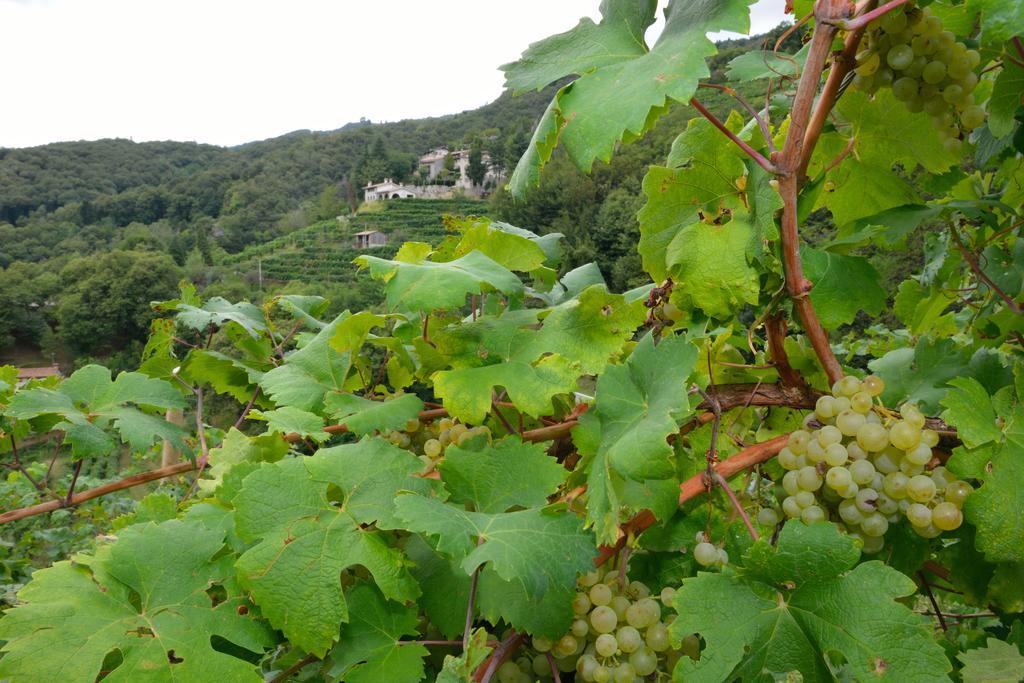 Crodi Alojamento de Turismo Rural