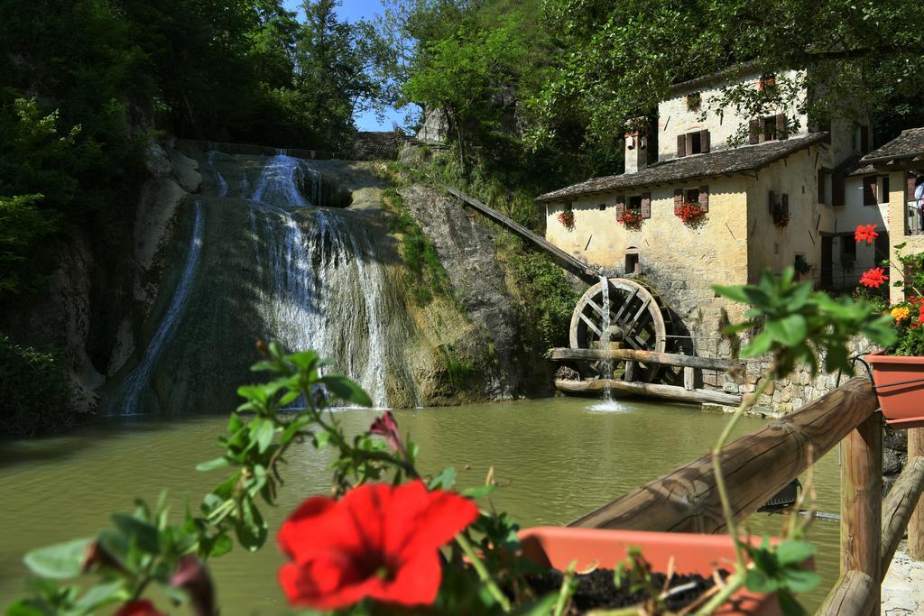 Crodi Miane
