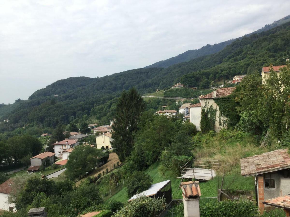 Crodi Miane